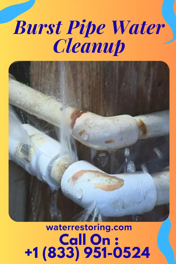 Burst Pipe Water Cleanup in Concord, KY