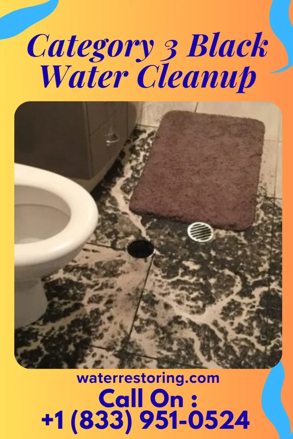Category 3 Black Water Cleanup in Concord, KY