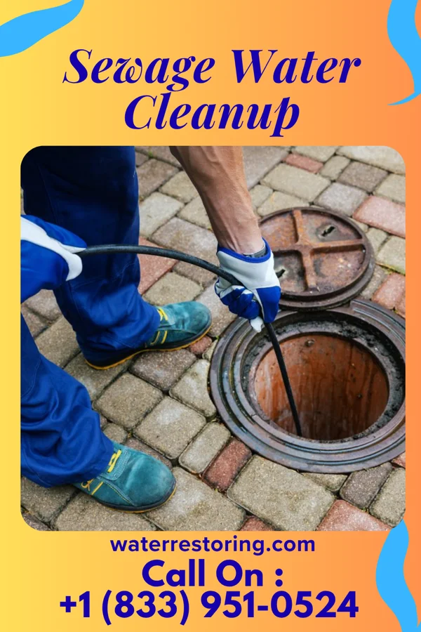 Sewage Water Cleanup in Concord, KY